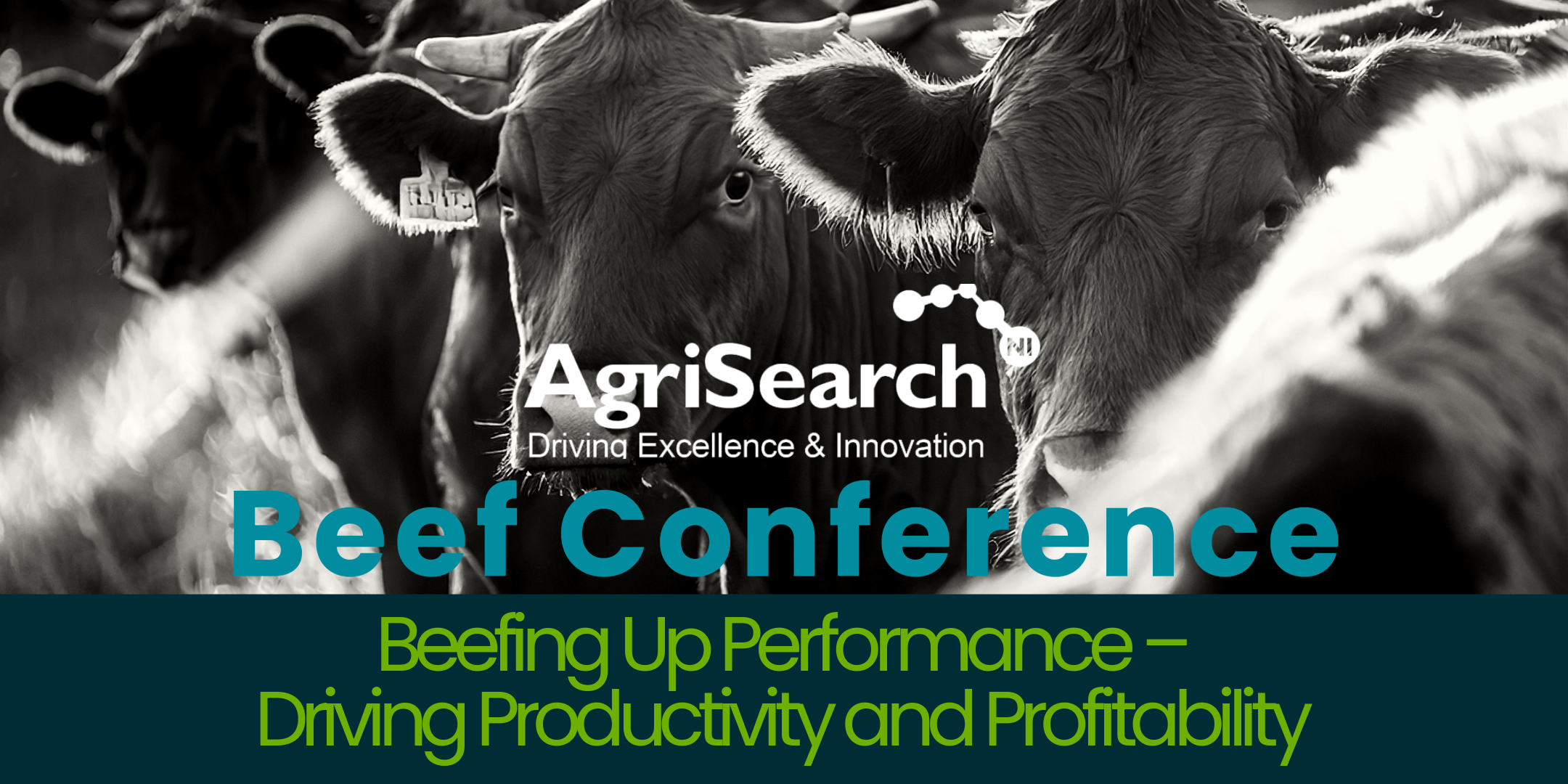 SAVE THE DATE: AGRISEARCH BEEF CONFERENCE 2026 | AgriSearch